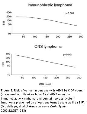 Figure 3. Risk of cancer in persons with AIDS by CD4 count (measured in units of cells /mm3) at AIDS onset for immunoblastic lymphoma and central nervous system lymphoma presented on a log-transformed scale as the (SIR). (Mbulaiteye, et al. J Acquir Immune Defic Syndr 2003;32:527–533)