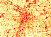 Urban Heat Island: Atlanta, Georgia