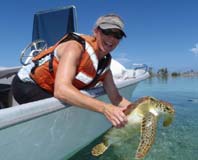 photo of Kristen Hart releasing green sea turtle