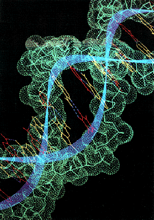 Neuton scattering will determine shape and structure of proteins