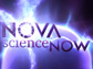 NOVA scienceNOW