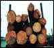 image of logs