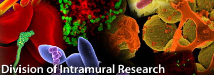 Division of Intramural Research