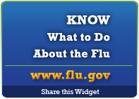 2009 Flu Info