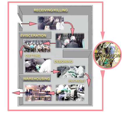 Hazards that exist in a Poultry Plant.