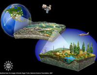 Diagram of the workings of the National Ecological Observatory Network (NEON)