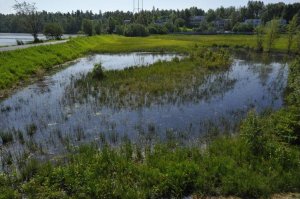 Photo of Westchester Lagoon.  Credit:  Anchorage Daily News