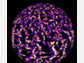 A computer model simulates convection patterns in the deep interior of the sun