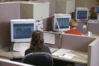 Picture of Fingerprint Technicians at terminals 