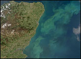 Phytoplankton Bloom in North Sea off Scotland