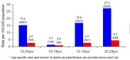 Homicide Rates Among Persons Ages 10 to 24 Years by Age and Sex, United States, 2005.