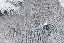 Clouds Streets and von Karman Vortices, Greenland Sea