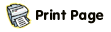 print icon