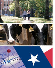 Texas montage image