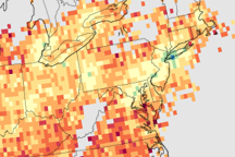 Relative Amounts of Bad Ozone Ingredients Across the U.S.