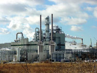 Photo of Cargill Dow Plant