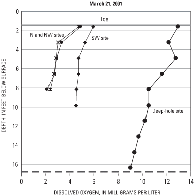 Dissolved oxygen distribution