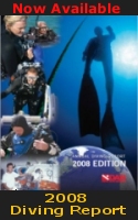 2008 Diving Report