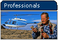 Professionals