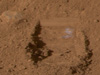 Martian soil near Phoenix lander