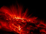 Sunspot Loops