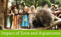 Why do zoos and aquariums matter?
