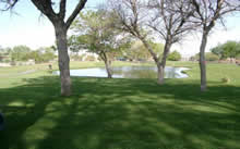 Golf Course