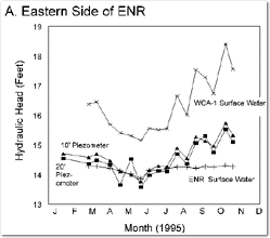 eastern side of ENR