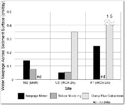 water seepage fluxes across wetland surface