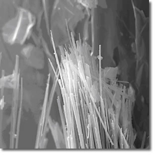 Tremolite micro fibers.