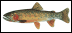 rio grande citthroat trout