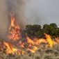 Big Park prescribed fire near Buffalo, Wyoming.