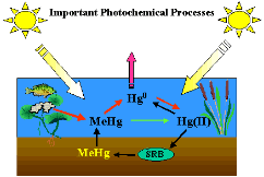 illustration of photochemical processes