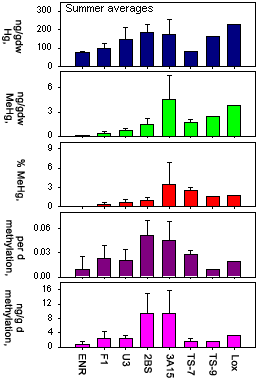 summer average graphs