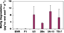 graph of MeHg degradation at various sites