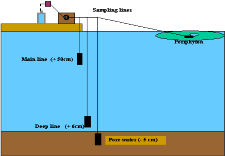 illustration of study set-up