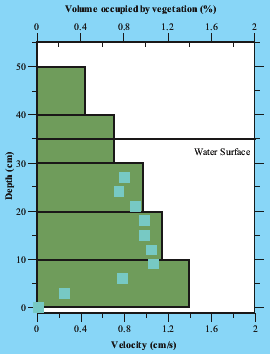 graph of velocity and vegetation volume at SQUB in October 2002