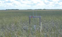 photo of flow-velocity monitoring site SQUB