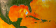 Sea surface temperature on Aug 29, 2005