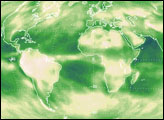 First Monthly CERES Global Longwave and Shortwave Radiation