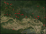 Fires in Para, Brazil