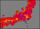 Heat Wave on Honshu