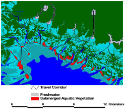 image showing manatee movement pathways and home ranges