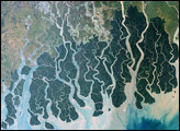 Sundarbans, Bangladesh