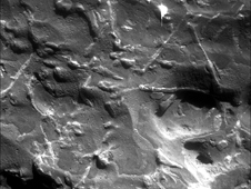 The triangular pattern of small ridges seen at the upper right in this image and elsewhere on the rock is characteristic of iron-nickel meteorites found on Earth.
