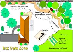 Graphics: "Tick Safe Zone"