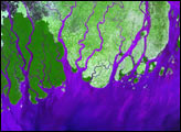 Ganges River Delta