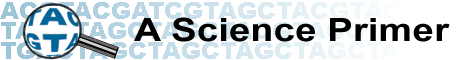 A Science Primer Titlebar