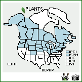 Distribution of Betula papyrifera Marsh. var. papyrifera. . Image Available. 