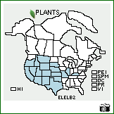 Distribution of Elymus elymoides (Raf.) Swezey ssp. brevifolius (J.G. Sm.) Barkworth. . Image Available. 